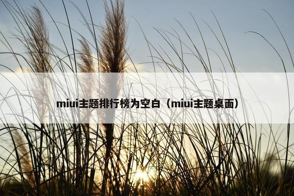 miui主题排行榜为空白（miui主题桌面）